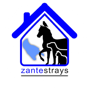 Zante Strays